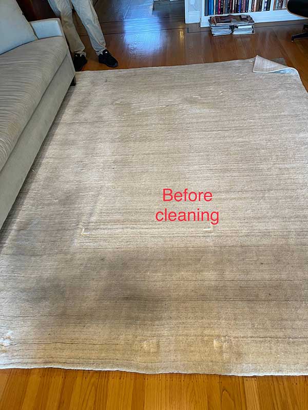 rug cleaner san rafael, viscose rug cleaning san rafael stained rug cleaning marin county