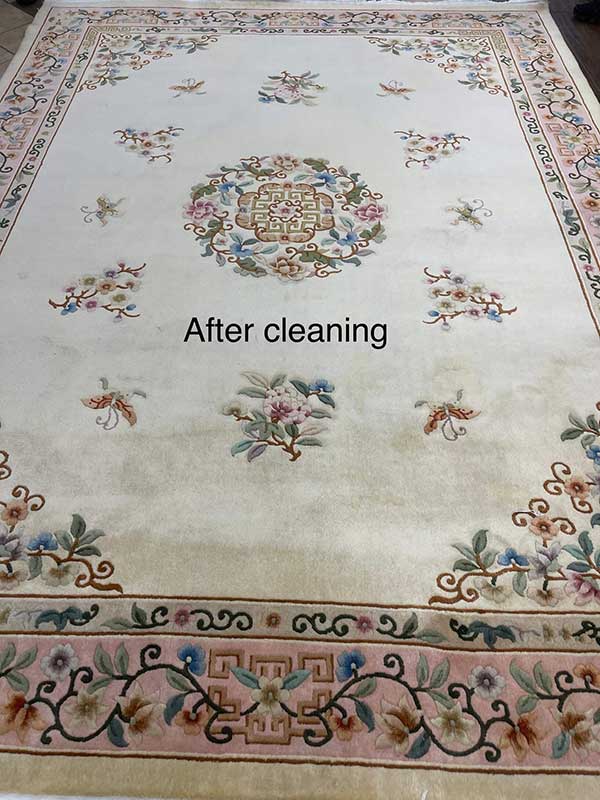 chines rug cleaning with dog pee, rug cleaner near me