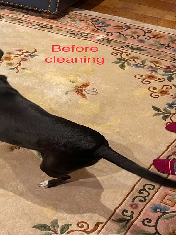 pet odor removal from chines rug