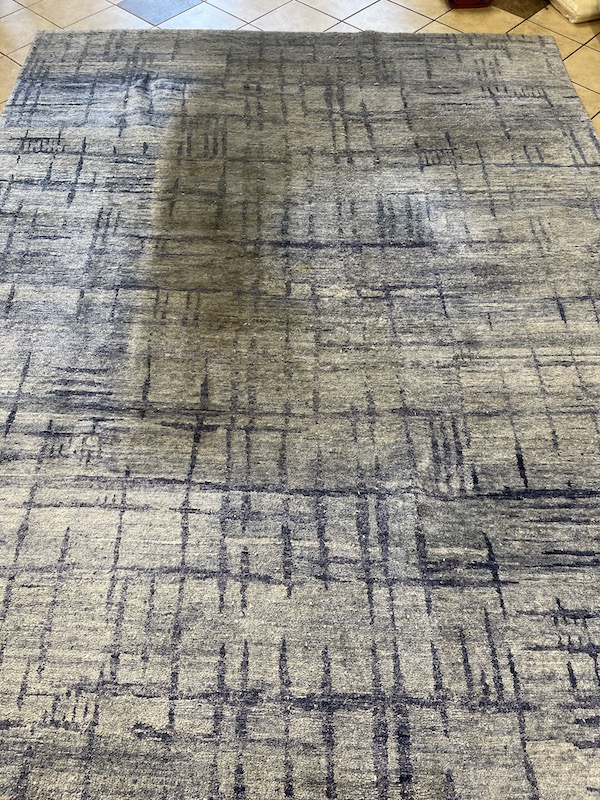 modern rug stain removing near me, pet odor removing san rafael