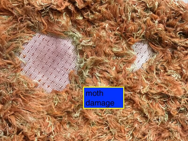 rug repair petaluma, moth damage rug repiar in petaluma