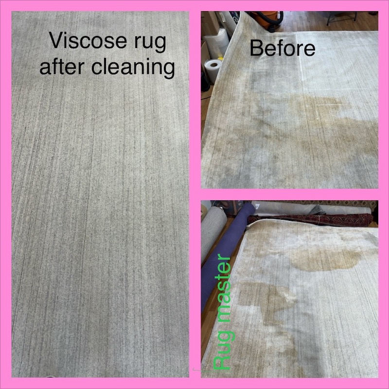 stain removing from viscose rug, pet odor removal from viscose rug