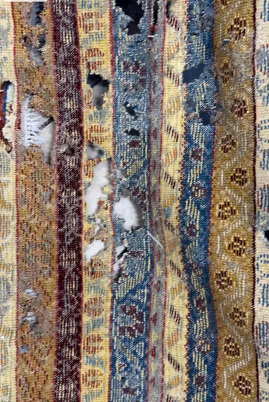 moth damage rug tiburon ca