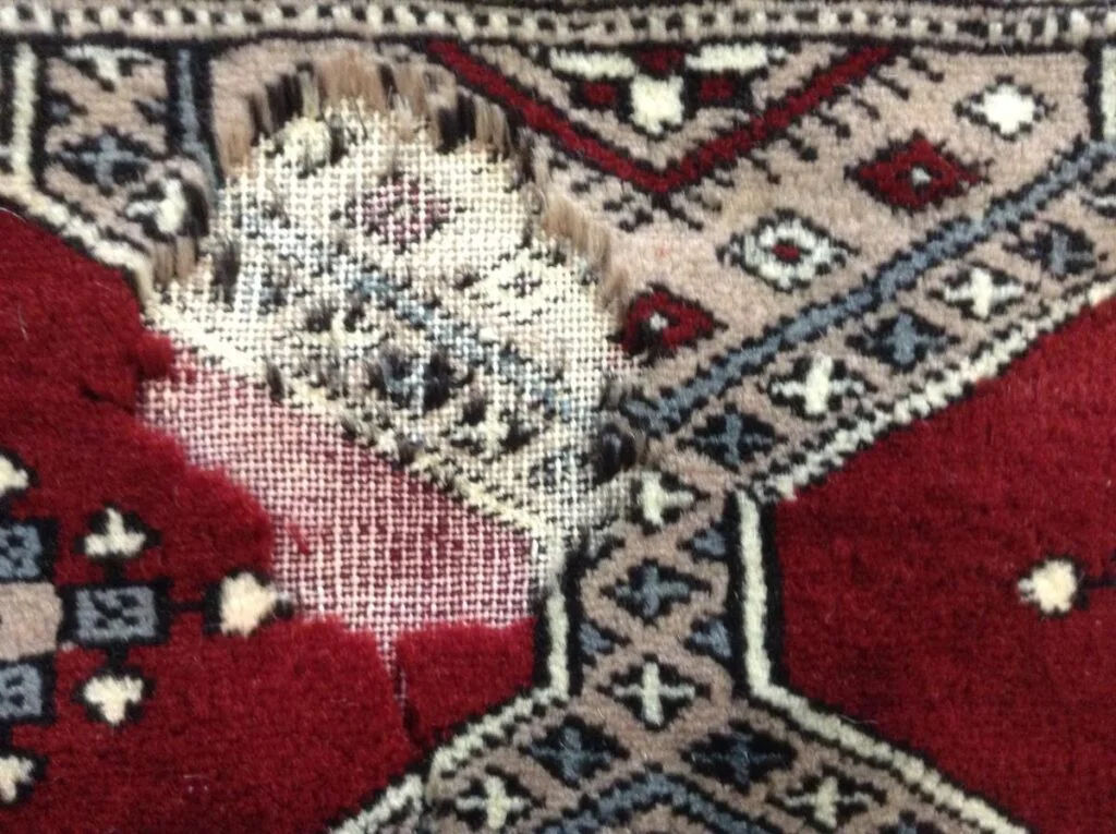 rug cleaner services san francisco