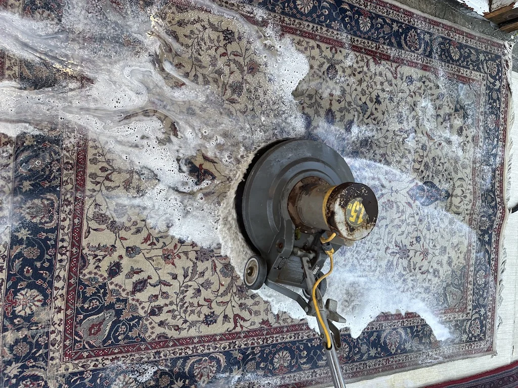 "Professional rug cleaning in Novato, CA – deep cleaning a handmade wool rug with specialized equipment and soap at Silk Road Odyssey."